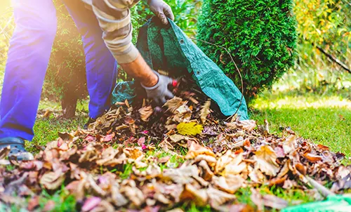 Stinson Chiropractic Center - Fall Yard Work and Back Pain: How Chiropractic Can Help