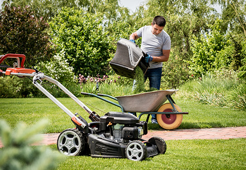 Lexington’s Stinson Chiropractic Care - Spring Yard Cleaning